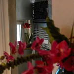 Apartmán Cafe Schneider *