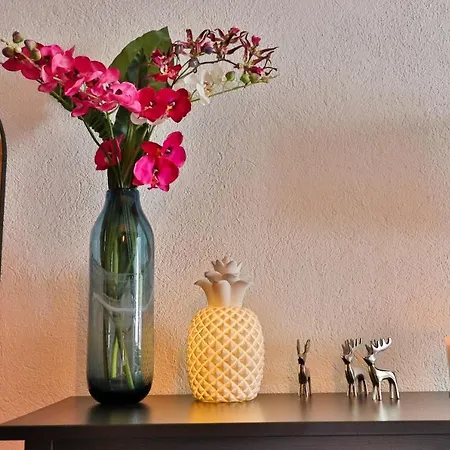 Cafe Schneider Appartement *