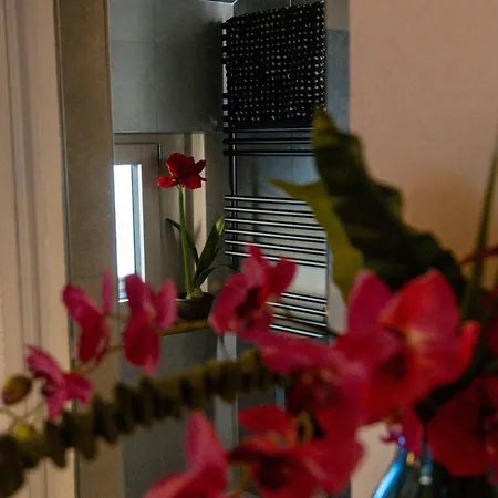 Appartement Cafe Schneider *